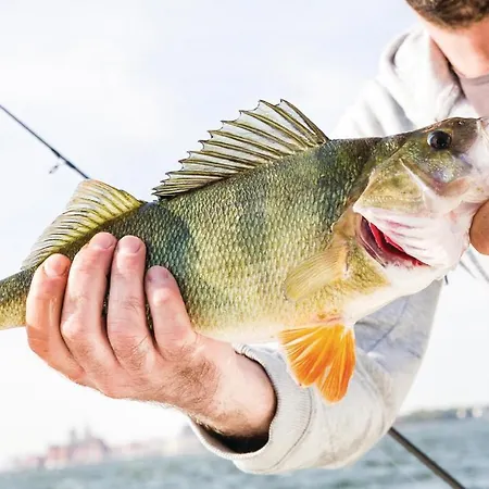 5 Prázdninový dům